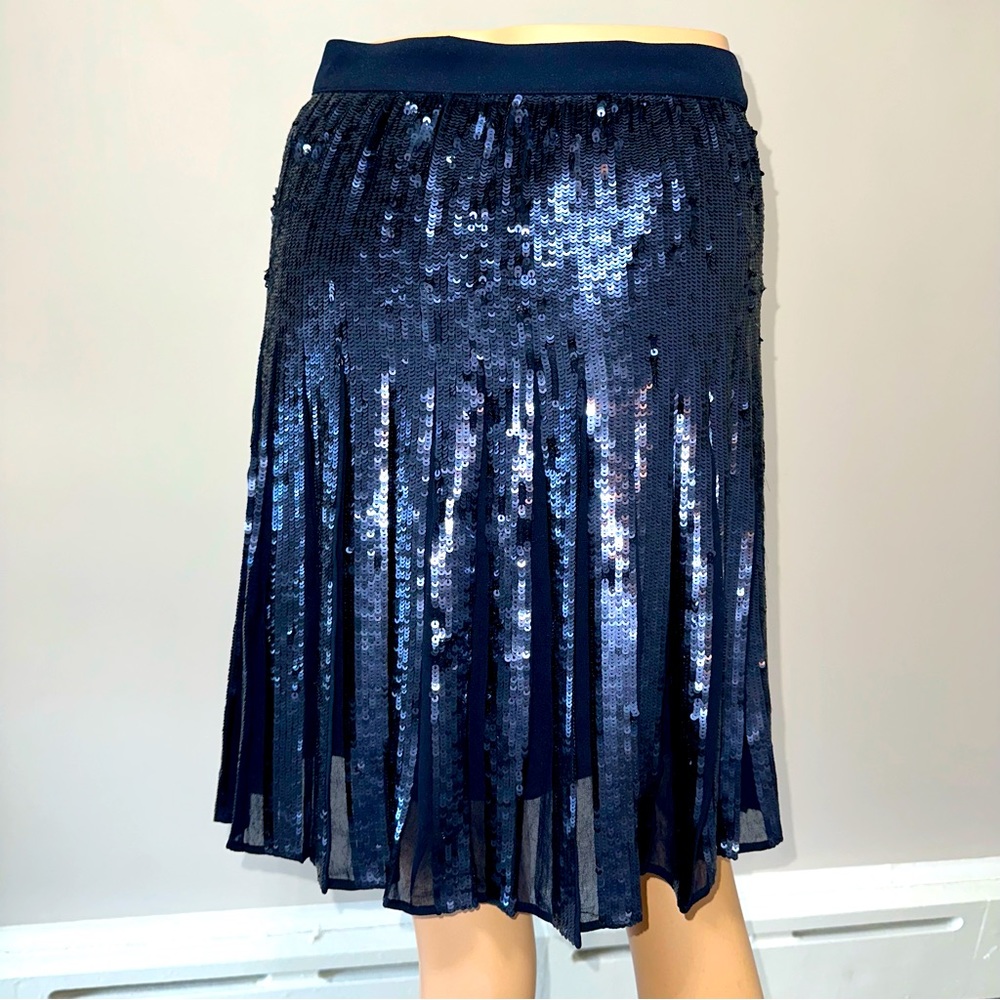 Banana Republic | Sequin Pleated Navy Skirt | Size 6